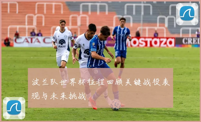 波兰队世界杯征程回顾关键战役表现与未来挑战